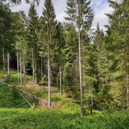 Apartamento Gemütliche Evieline In