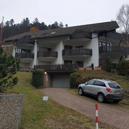 Gemütliche Evieline In Apartamento Todtmoos